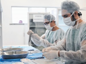 Mulher tem canal vaginal reconstruído com pele de tilápia, em Fortaleza