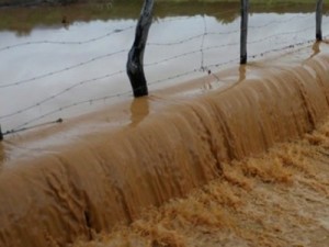 Município registra 123 milímetros de chuva no Piauí e açudes transbordam