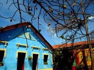 Museus orgânicos são atração cultural no Cariri