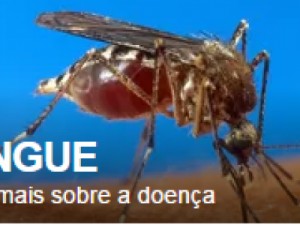 No Ceará, 92% das cidades registram casos de dengue, diz secretaria