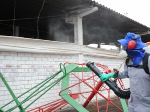 Paraná tem 29 mil casos e 24 mortes confirmadas por dengue