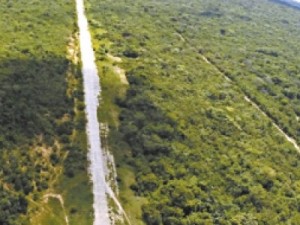 PEDRA BRANCA Droga apreendida em avião é avaliada em R$ 7,5 milhões