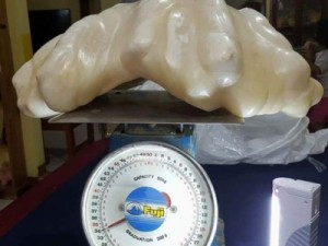 Pérola gigante de 34 kg achada nas Filipinas pode ser a maior do mundo