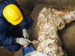 Pesquisadores encontram cavalo petrificado em Pompeia