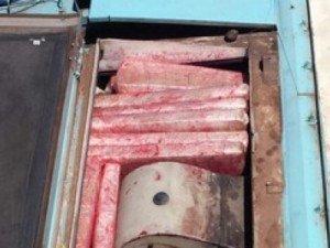 Polícia apreende 350 kg de maconha em Presidente Dutra, MA