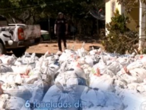Polícia do Piauí faz maior apreensão de maconha deste ano no Nordeste
