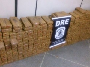 Polícia Federal apreende 550 Kg de maconha durante operação policial