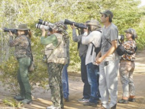 Potengi atrai observadores de aves