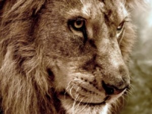 Prazo para declarar o IR chega à reta final