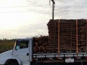 PRF - Caminhoneiro detido com carregamento de madeira ilegal em Milagres-CE