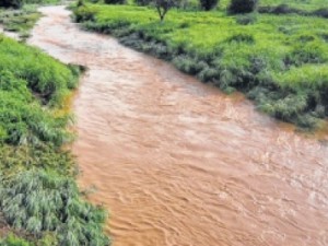 Primeiras chuvas renovam esperanças no sertão cearense