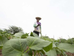 Projetos do Fecop impactam a vida de 3,8 milhões de cearenses