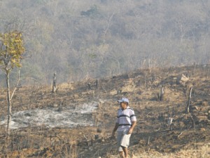 Queimadas destroem vegetação na Chapada do Araripe