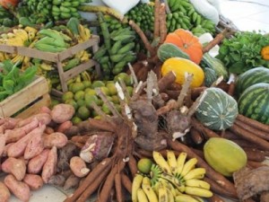 Secretário de Agricultura e agricultores vão debater implementação da Economia Solidária