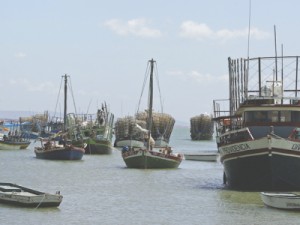 Sem licença, pesca da lagosta sofre prejuízo de R$ 1 mi ao dia