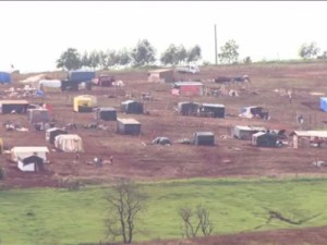 Sem-terra invadem fazenda de família do ex-deputado José Janene