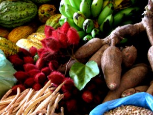 Seminário debate agricultura familiar em Barbalha 