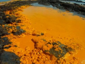 Técnicos fazem limpeza de praia em Fortaleza pelo 2º dia após vazamento