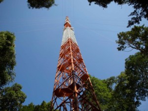 Torre de pesquisa mais alta do mundo é inaugurada no Amazonas