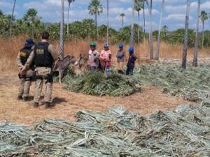 Trabalhadores resgatados não tinham banheiro, água potável e alojamento