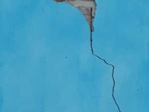 Tremores de terra assustam moradores de Madalena, Boa Viagem e Quixeramobim