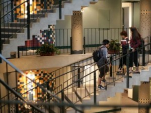 Universidade nos EUA cria opções de gênero trans em ficha de admissão