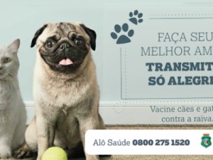 Vacinação de cães e gatos contra raiva começa em 14 de novembro