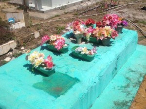 Vigilância identifica 2 mil focos de dengue em cemitérios de Macapá