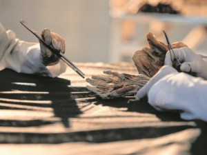 Voluntários aceitam doar seus corpos para a ciência