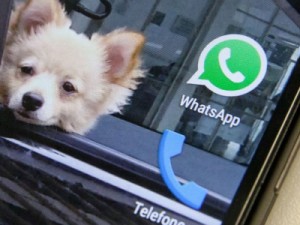 WhatsApp: Justiça do RJ manda bloquear aplicativo em todo o Brasil