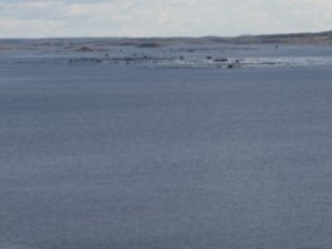 Homem é encontrado morto no açude do Barro Branco em Juazeiro