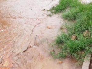 Boa chuva banha Barbalha nesta quarta-feira (5), e Funceme registra 133 mm em Amontada