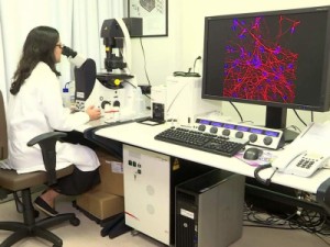 Senado aprova MP que dá pensão vitalícia às crianças com microcefalia causada pelo zika