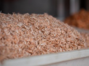 Marrocos autoriza a exportação de pescados produzidos no Brasil