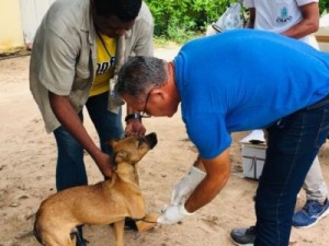 Ações de combate a leishmaniose acontecem em Crato