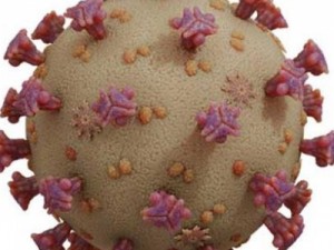 Cientistas do Brasil e de Oxford sequenciam genoma do novo coronavírus detectado em SP