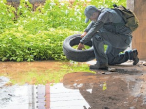82 bairros de Fortaleza têm infestação média ou alta de Aedes aegypti