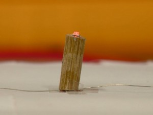 “BAMBUTRÔNICA”: Bambu pode ser nova fonte de energia renovável