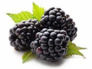 Conheça os Benefícios da Amora para uma alimentação saudável