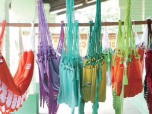 Redes do CE podem ter reconhecimento nacional