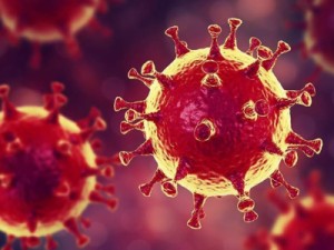 Decreto de calamidade pública é publicado no Diário Oficial