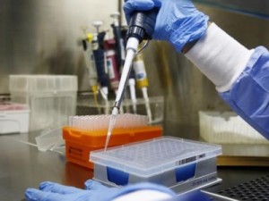 Ceará deve ser o primeiro estado a atingir pico de infecção por coronavírus, alertam pesquisadores