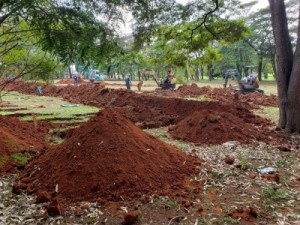 Retroescavadeiras abrem sepulturas extras em cemitérios de SP