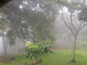 Cedro registra chuva de 120 mm, maior precipitação do Ceará em 24 h