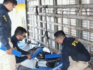 Polícia apreende quase uma tonelada de maconha em carga de sofá