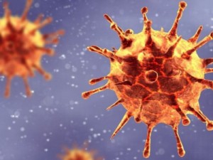 71 pessoas morreram de Covid-19 em casa no Ceará, afirma Secretaria da Saúde