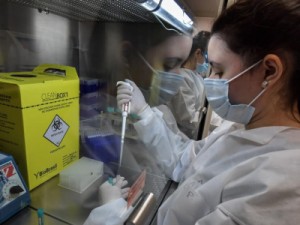 Instituto Vital Brazil e UFRJ testam soro para tratar Covid-19