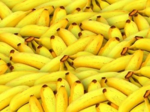 A pandemia que ameaça destruir a fruta mais popular do mundo