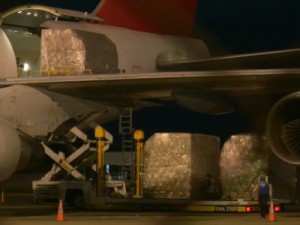 Ceará recebe carregamento aéreo com 70 toneladas de EPIs