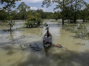 Inundações na Índia e Nepal deixam quase 4 milhões desabrigados